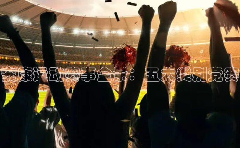 安康运动赛事全景：五大类别竞赛