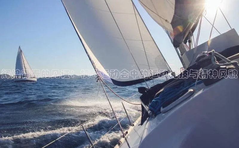 辉煌青春的见证：校园运动会中的运动竞技与精神风貌