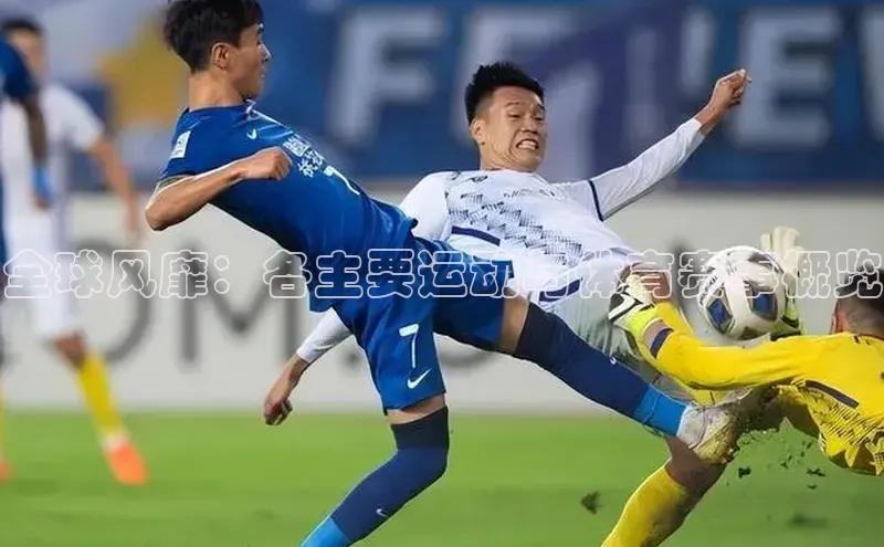 全球风靡：各主要运动与体育赛事概览